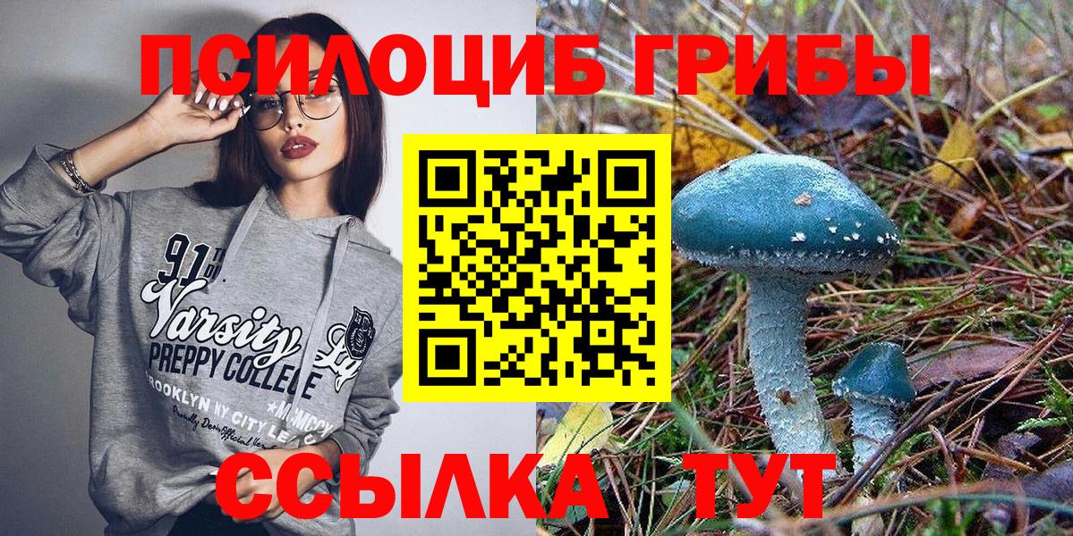 Псилоцибиновые грибы Cubensis Стерлитамак